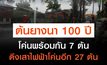 ต้นยางนาร้อยปีโค่นพร้อมกัน 7 ต้น ทับบ้านรถพังยับ ดึงเสาไฟฟ้าโค่นอีก 27 ต้น