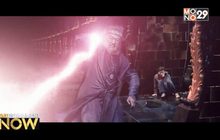 สาวกพ่อมดเคือง Fantastic Beasts 2 จะไม่เผยความเกย์ของ “ดัมเบิลดอร์”