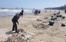 พบหอยนับล้านตายเกยหาดปราณบุรี