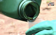 กลุ่มหนุน-ต้านแบน 3 สารเคมี นัดประกาศจุดยืนพรุ่งนี้