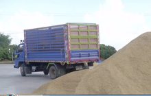 เร่งหาแนวทางแก้ปัญหาราคาข้าวตกต่ำ