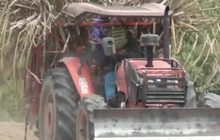 วันนี้เกษตรร้องศาลปกครองคุ้มครองชั่วคราว 3 สารเคมี