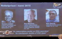 กลุ่มนักวิจัย DNA คว้ารางวัลโนเบลสาขาเคมี