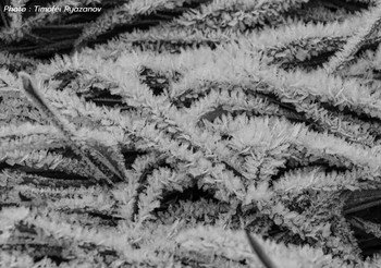 พยากรณ์อากาศวันนี้ 7 ธ.ค.