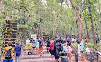 เข้าฟรีวันพ่อ ! ภูกระดึงคึกคักต้อนรับนักท่องเที่ยวทะลุ 2,500 คน สัมผัสอากาศหนาว