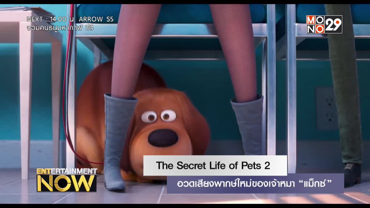 The Secret Life of Pets 2 อวดเสียงพากษ์ใหม่ของเจ้าหมา “แม็กซ์”