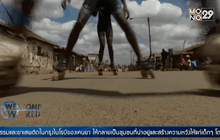 สเกตช่วยเปลี่ยนแปลงชุมชน