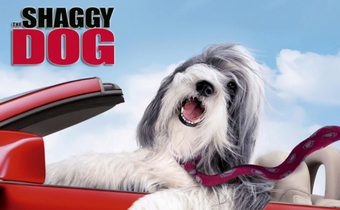 The Shaggy Dog คุณพ่อพันธุ์โฮ่ง