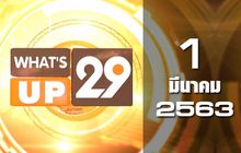 What’s up 29 01-03-63