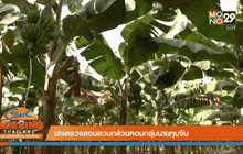 Good Morning Thailand 01-04-59