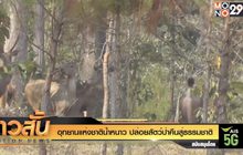 อุทยานแห่งชาติน้ำหนาว ปล่อยสัตว์ป่าคืนสู่ธรรมชาติ