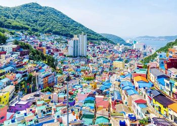 รวม ทัวร์ไฟไหม้ ประจำปี 2026 ราคาถูก จาก Travelzeed