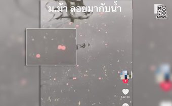 ป.ป.ส. แจงแล้ว คลิป “ยาบ้าลอยน้ำท่วม” ที่แท้เป็นอาหารนกเอี้ยง!