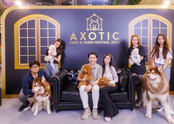 Axotic Cafe & Farm ทุ่มงบ 20 ล้านบาท เปิดตัวฟาร์มสุนัข “โกลเด้นดูเดิ้ล” ใหญ่ที่สุดในไทย