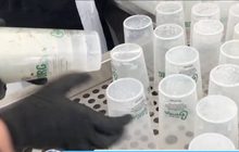 เดนมาร์กรีไซเคิลแก้วเบียร์ในเทศกาลดนตรี