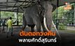 ช้างและความเชื่อในศรีลังกา ต้นตอของการทางคืน พลายศักดิ์สุรินทร์กลับบ้าน