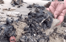 คราบน้ำมันดิบลอยเกยหาดชุมพร