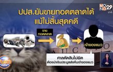 ปปส.ยันขายทอดตลาดได้แม้ไม่สิ้นสุดคดี