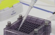 ไฟเซอร์-ไบโอเอ็นเทคเริ่มทดลองวัคซีนโควิด-19 ในคน