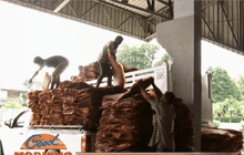 ประกาศเขตภัยพิบัติยางพาราคาตกต่ำภาคใต้