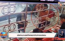 ขโมยทองภรรยามาขายแต่กลายเป็นทองปลอม