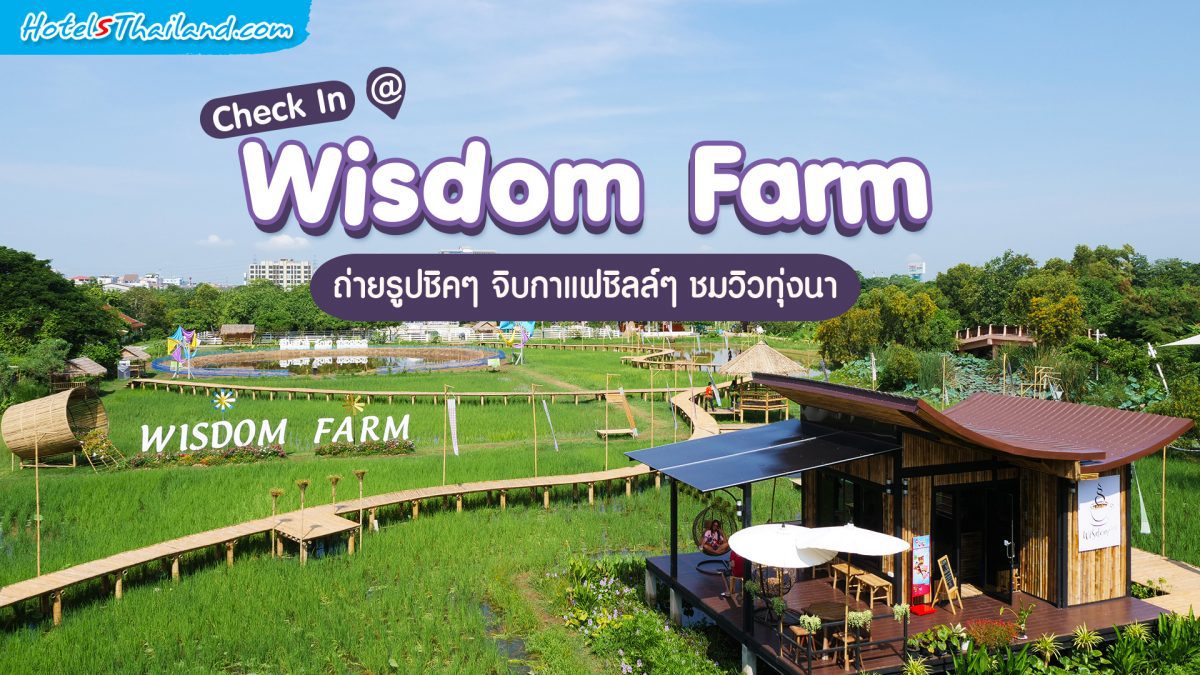 Check In @ Wisdom Farm ถ่ายรูปชิคๆ จิบกาแฟชิลล์ๆ ชมวิวทุ่งนา