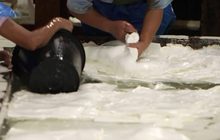 กยท.ตั้งบริษัทรับซื้อยางหวังดันราคา 