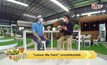 ไอเดียทำเงิน “Lemon Me Farm” มะนาวครบวงจร