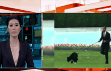 จับชายวางแผนลักพาตัวสุนัขของโอบามา