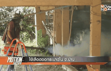 ไข้เลือดออกระบาดใน จ.น่าน