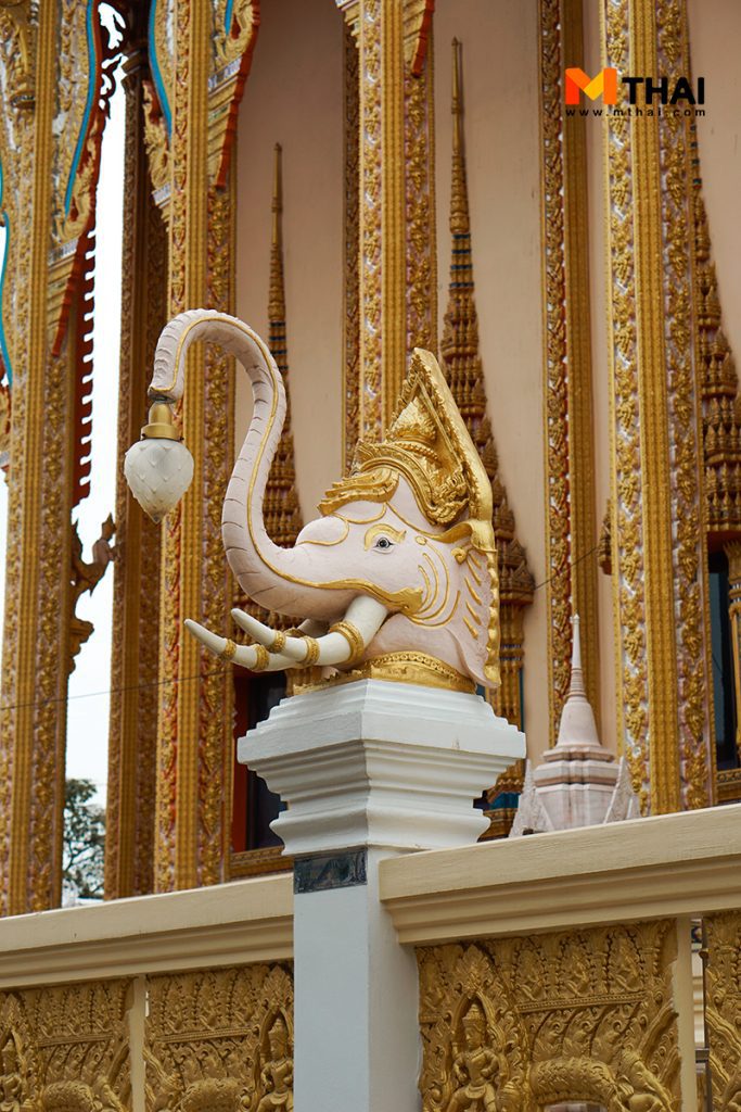 ช้าง