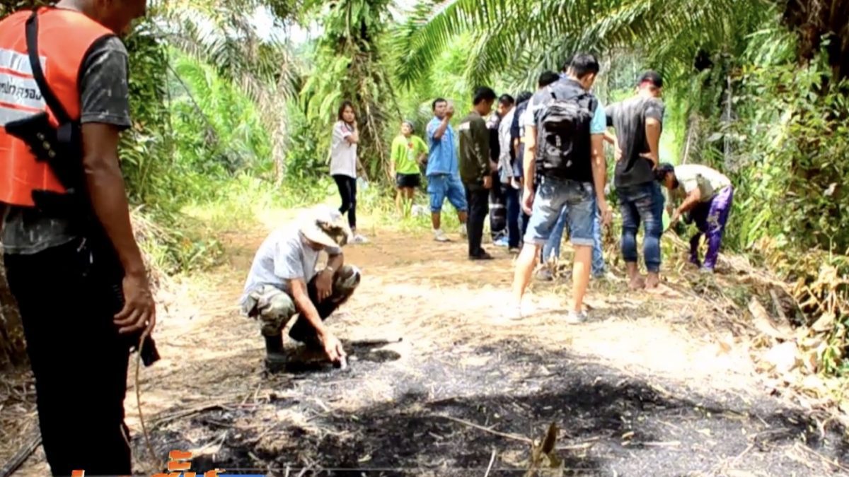 พบศพถูกเผานั่งยางในสวนปาล์ม จ.ชุมพร