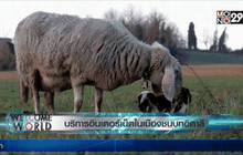 บริการอินเตอร์เน็ตในเมืองชนบทอิตาลี