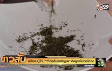 สร้างเมนูใหม่  “ข้าวแต๋นรสกัญชา” ดึงลูกค้าช่วงโควิด