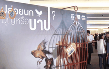 เปิดตัวหนังสั้น”ปล่อยนก บุญหรือบาป”