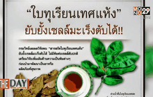 กินใบทุเรียนเทศเสี่ยงตับ-ไตวายเฉียบพลัน