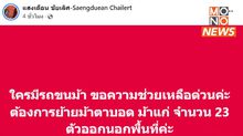 “วิกฤตแม่แตง! ศูนย์บริบาลช้างวอนช่วย ย้าย 23 ม้าตาบอด-แก่ หนีน้ำ”