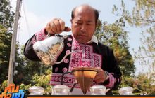 จิบกาแฟพันธุ์เกชา กิโลกรัมละ 8,000 บาท
