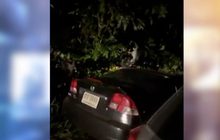 ดำเนินคดีจนท.คุมประพฤติเมาแล้วขับหนีเข้าศาล