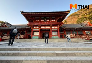 รีวิว Tsurugaoka Hachimangu ศาลเจ้าอายุกว่า 800 ปี ที่คามาคุระ