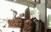 ชาวสวนยางเสนอรัฐช่วยเหลือไร่ละ 2,520 บาท