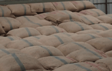 คาดปีนี้ส่งออกข้าว  9.5 ล้านตัน