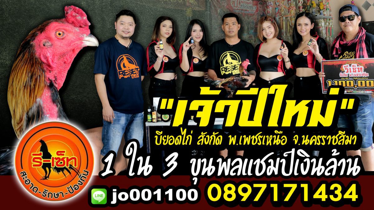 เจ้าปีใหม่ 1 ใน 3 แชมป์เงินล้าน ซุ้ม บียอดไก่ สังกัด พ.เพชรเหนือ โคราข มั่นใจใช้ชุดออกชน รีเซ็ท