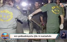 ผวา งูเหลือมยักษ์บุกบ้าน  กู้ภัย 10 คนช่วยกันจับ
