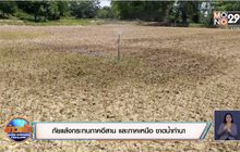 ภัยแล้งกระทบภาคอีสาน และภาคเหนือ ขาดน้ำทำนา