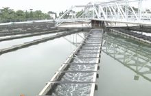 กปน. คาด ก.พ.น้ำทะเลหนุนสูง กระทบรสชาติน้ำประปา