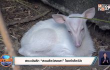 สอบเชิงลึก “สวนสัตว์สงขลา” โยงค้าสัตว์ป่า