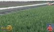 ​เทรนด์ปลูก-แปรรูปกัญชงเพื่อบริโภคกำลังบูม