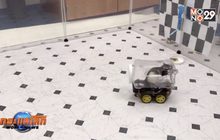 นักวิทยาศาสตร์ฝึกหนูทดลองขับรถ