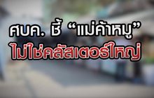 ศบค.ชี้ แม่ค้าหมูไม่ใช่คลัสเตอร์ใหญ่ 09-02-64